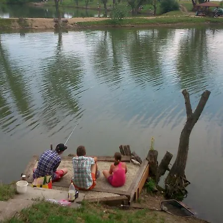 Πανσιόν Rekreacny Dom Railip Trávnica