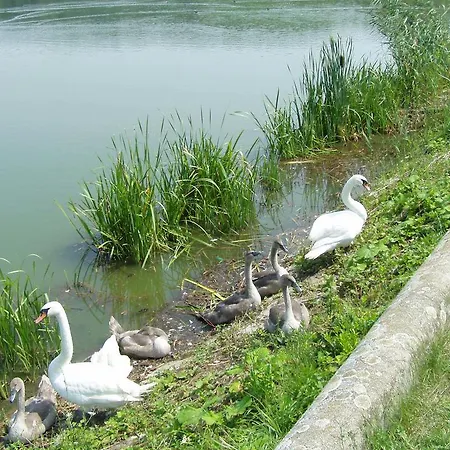 Casa de hóspedes Rekreacny Dom Railip Trávnica