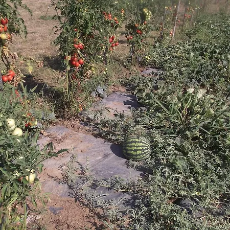 Rekreacny Dom Railip Trávnica