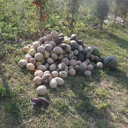 Rekreacny Dom Railip Trávnica