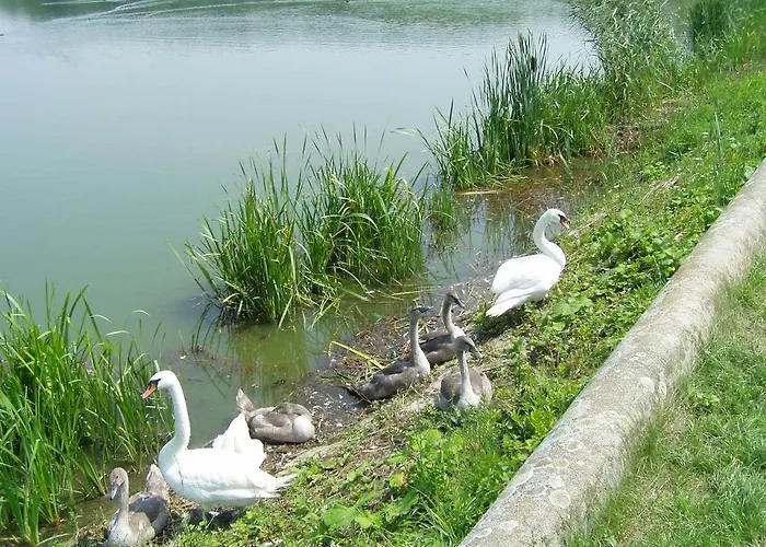 게스트하우스 Rekreacny Dom Railip Trávnica