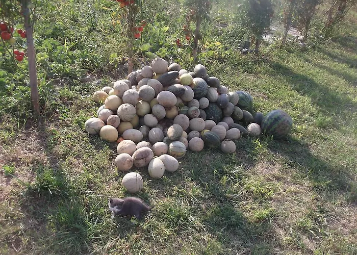 Rekreacny Dom Railip Trávnica